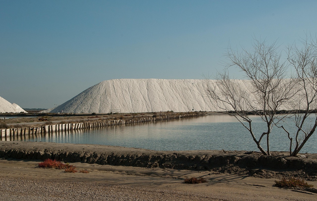Reading a Salt Marsh Like a Story: Tides, Edges, and Tension