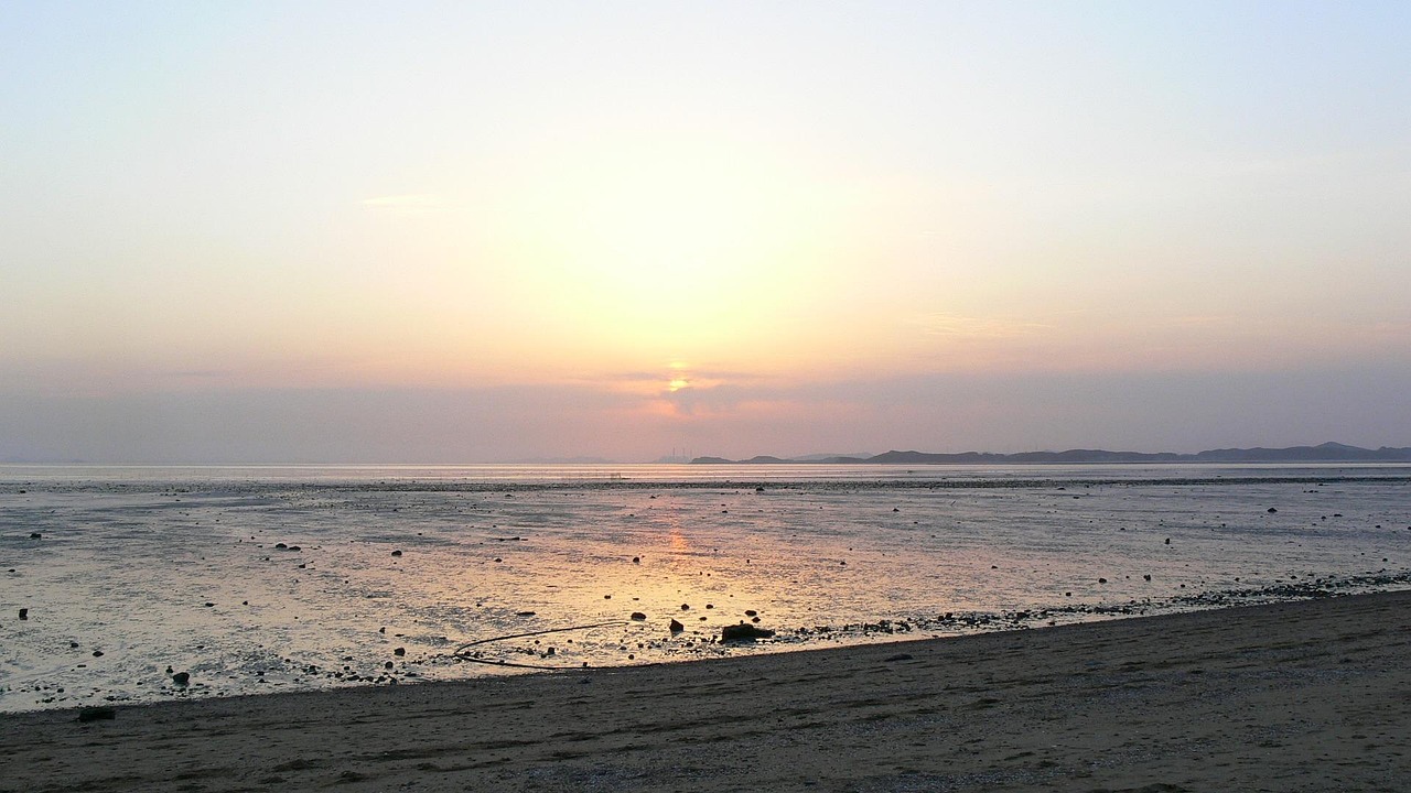 The Mudflat at Low Tide: Finding Composition in the Mess