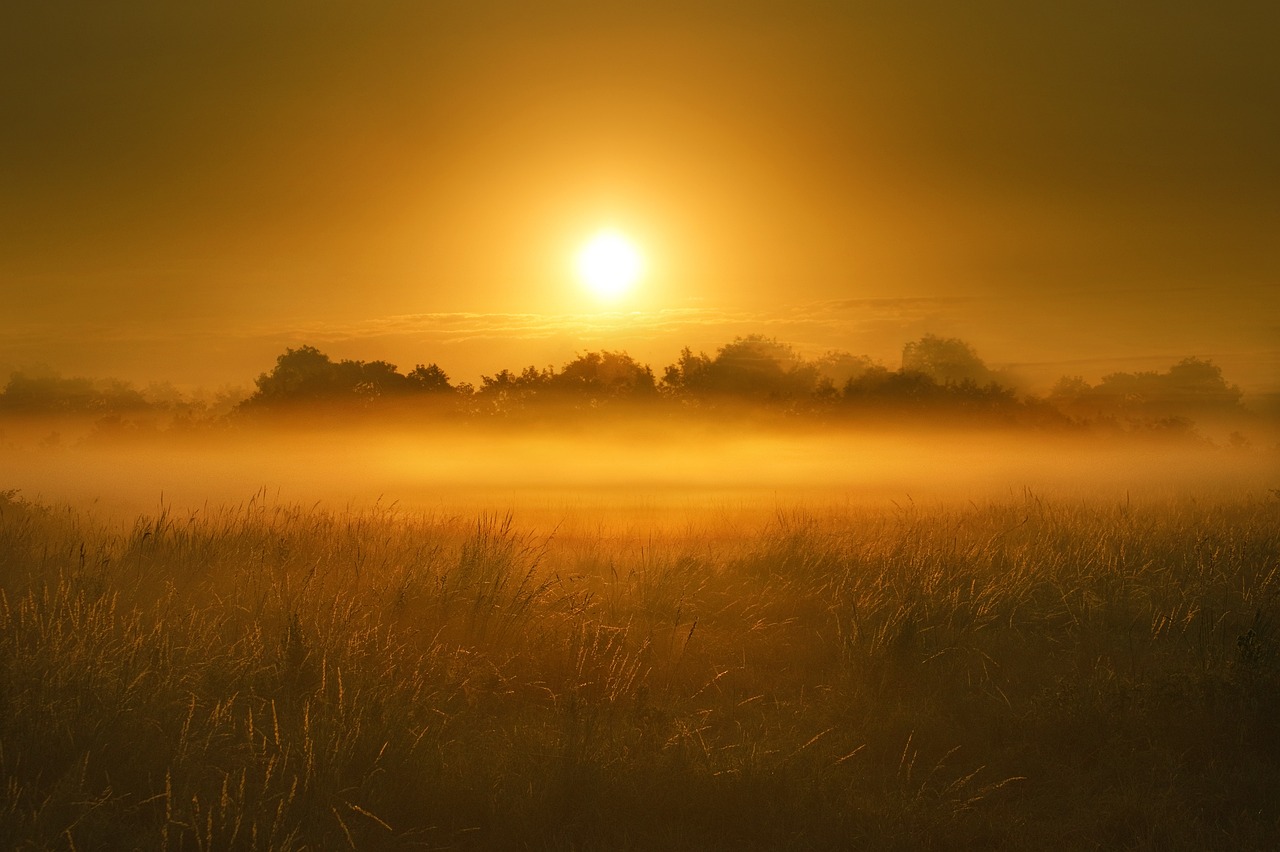 The Sound of a Marsh at Dusk: Listening as a Composition Tool
