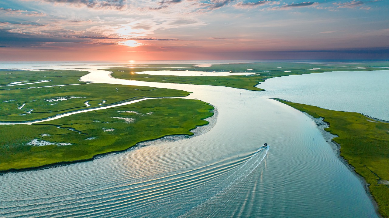 When the Water Returns: Photographing a Marsh Through the Seasons